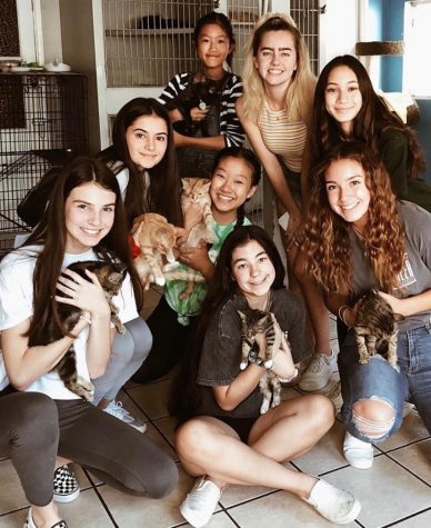BOHS students and RAISE members (clockwise from top right) Tessa Clements, Makena Loader, Ashley Alvarez, Brenna Reis, Vanessa Reeve, Sevval Kaplan, Aileen Kim (center), and sixth grader Sylvia Kim (top center)  hold rescue animals at VIDA, a Rowland Heights shelter that saves abused animals. 


