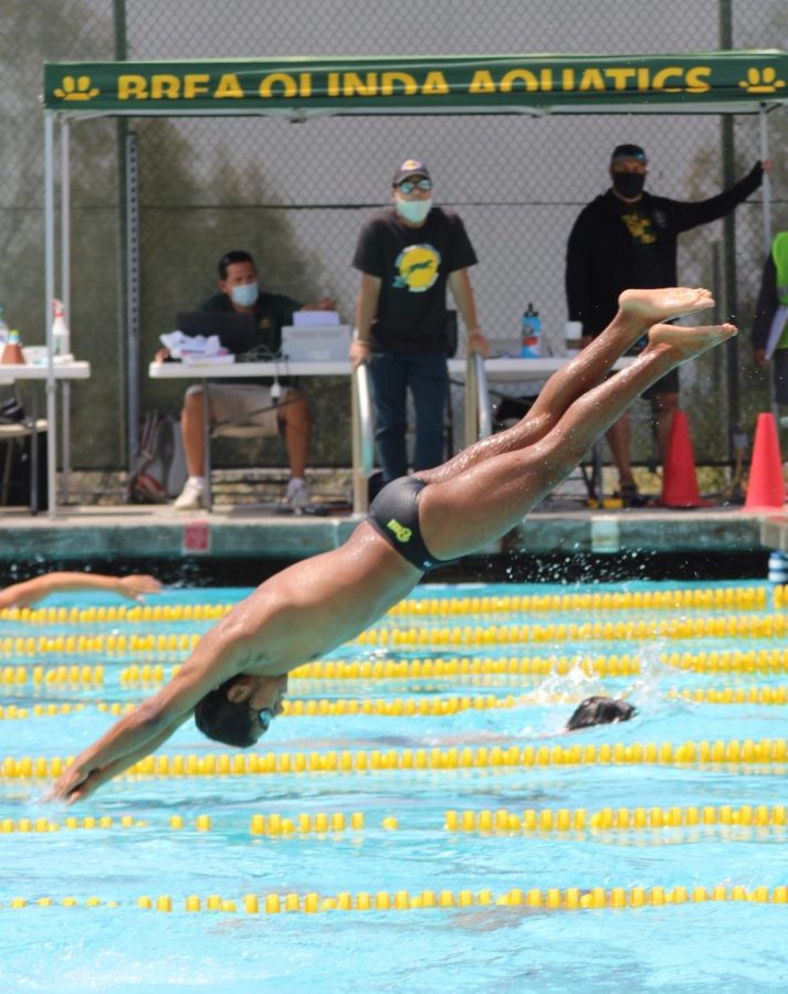 Joshua Santos, senior, dives into the BOHS pool during the Wildcats warm-up for the May 12 meet against Villa Park High School. The Wildcats beat the Spartans in all five levels.