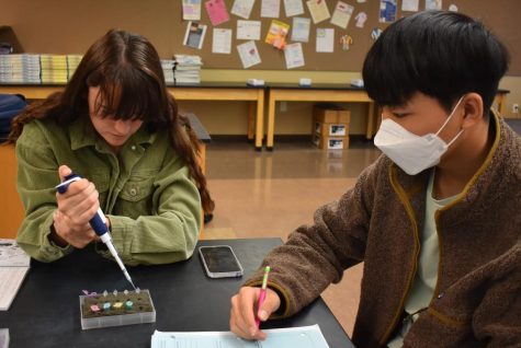 Kendra Painter, senior, and Andrew Chun, junior, participate in a lab during AP Biology class. Starting March 11, students and staff had the option to not wear masks in classrooms.
