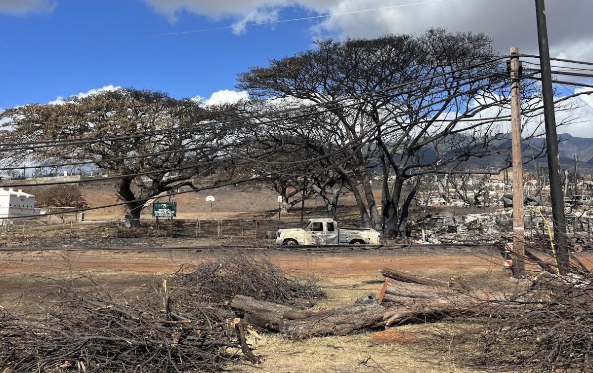 A+charred+pick-up+truck+sits+abandoned+in+Lahaina%E2%80%99s+ruined+landscape.+The+Maui+wildfires+claimed+115+lives%2C+and+more+than+300+are+still+unaccounted+for.+