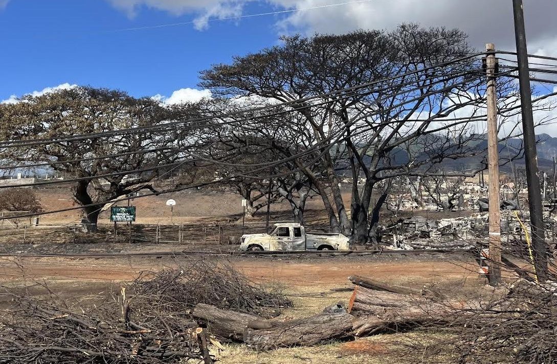 A charred pick-up truck sits abandoned in Lahaina’s ruined landscape. The Maui wildfires claimed 115 lives, and more than 300 are still unaccounted for. 