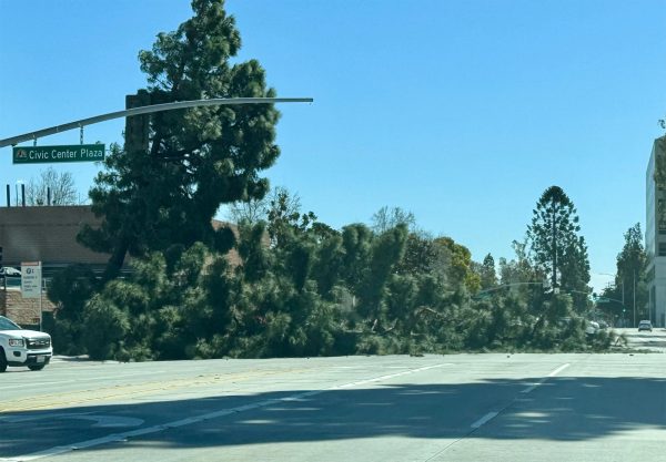 A view from Mock Trial attorney coach James Voges car during his commute to BOHS on March 14. Heavy winds had knocked over a pine tree onto Civic Center Plaza street in Santa Ana. 