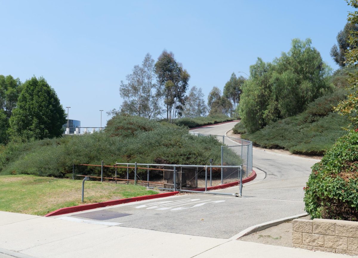 A new gate will replace the existing chain link fence at the athletic field’s entrance along Wildcat Way. 