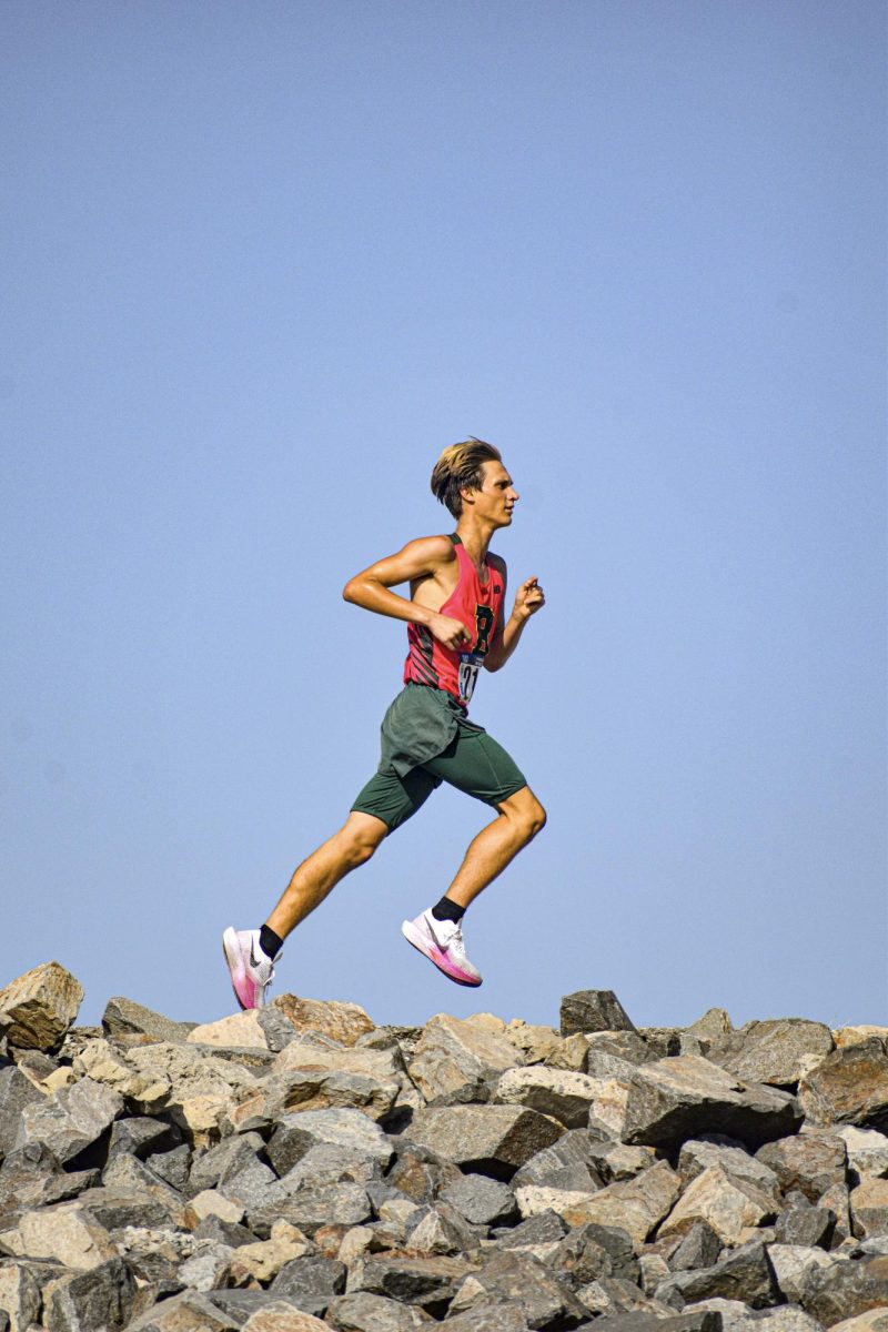 From Wildcat Way to Champs-Élysées: Tara Llanes (’95) Competes for Team ...