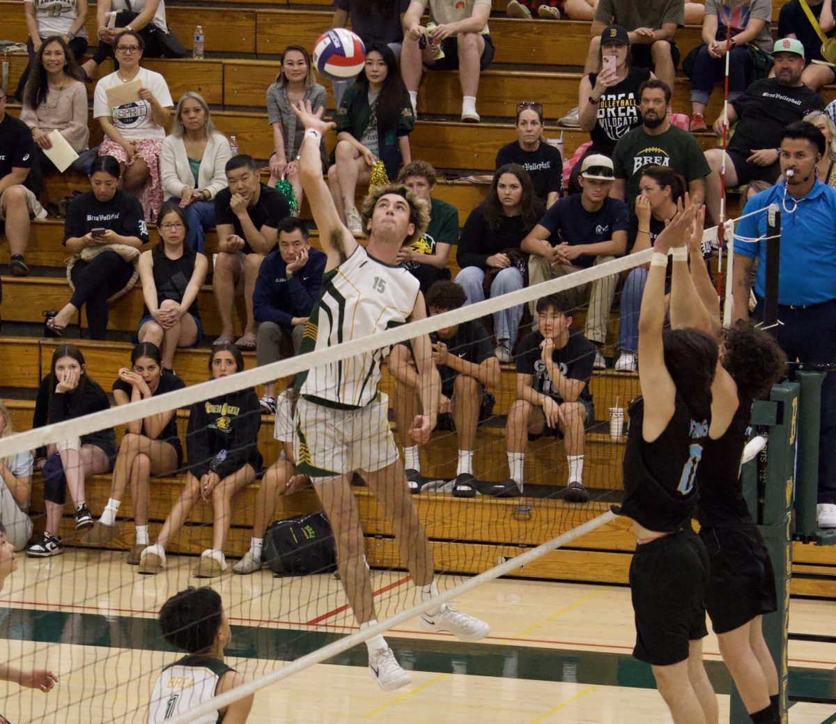 Addison Altermatt ('25) rises for a spike against a pair of Wilson (Los Angeles) High School defenders. The Wildcats swept the visiting Mules 3-0 for their first-ever state playoffs win. 