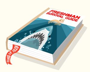 Staying afloat freshman year can be a challenge for even the most prepared and confident student. To help ease the transition into Brea Olinda High School, the Wildcat presents a "survival guide" for the incoming Class of 2029. 