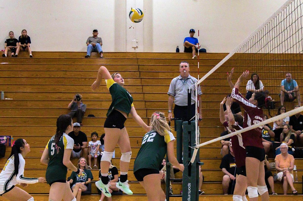 Farrah Finnie ('28) elevates for one of her season-high 18 kills against Esperanza High School in the Wildcat gym Sept. 23. 