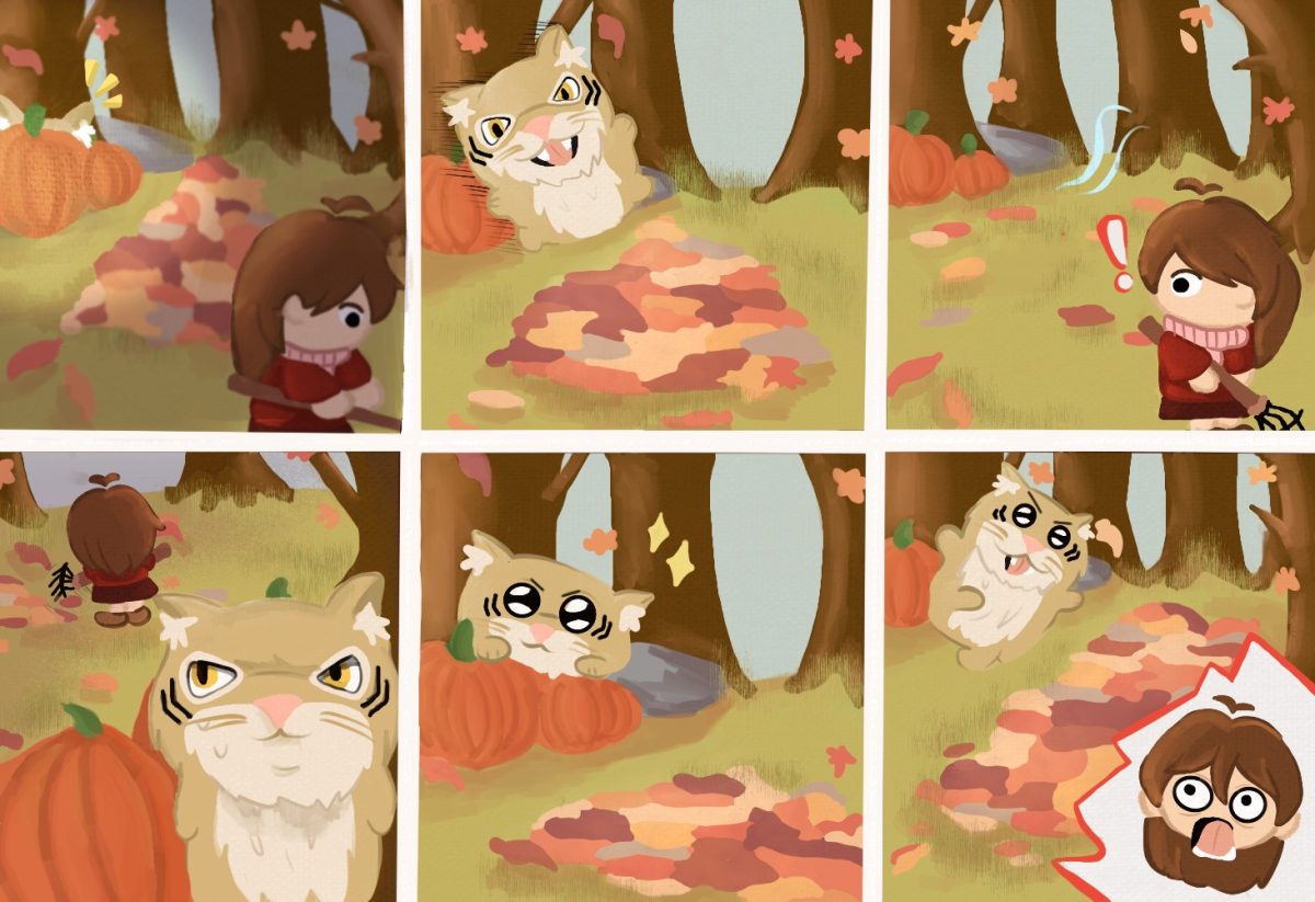 Jumping Into Fall