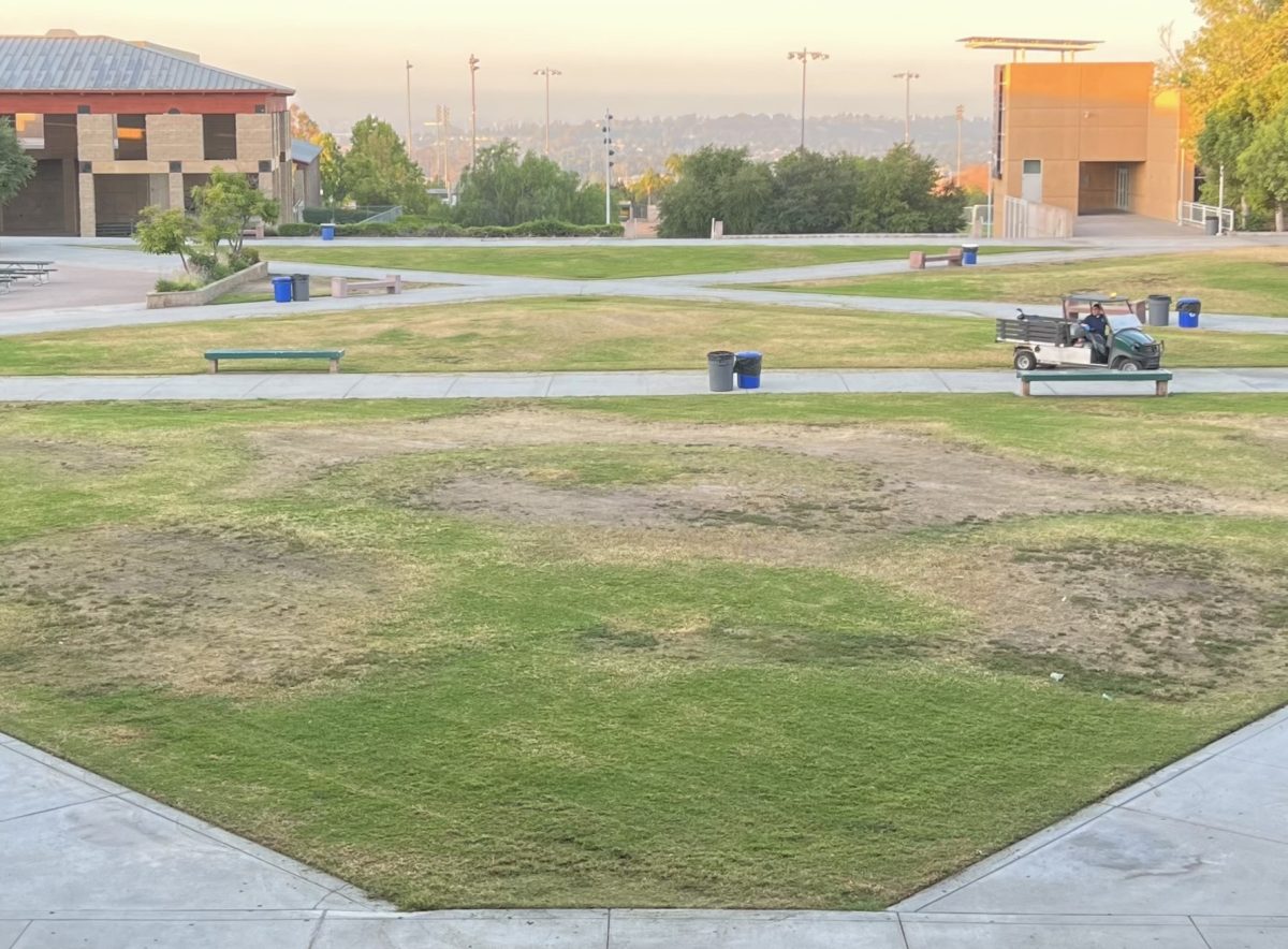 The area of the Brea Olinda High School quad that was once populated by fully grown trees. The space has remained barren for 18 years. 