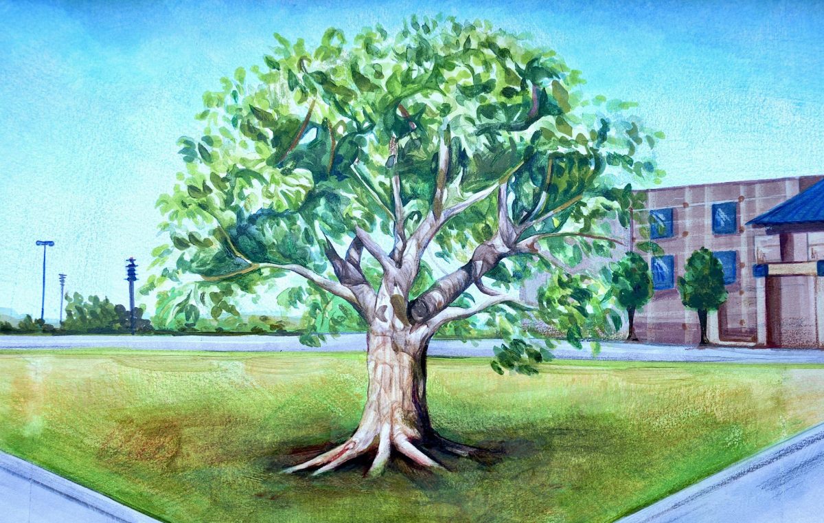 Wildcat News Editor Raina Kim's rendering of what the now-barren area of the quad would look like with a full-grown tree. 