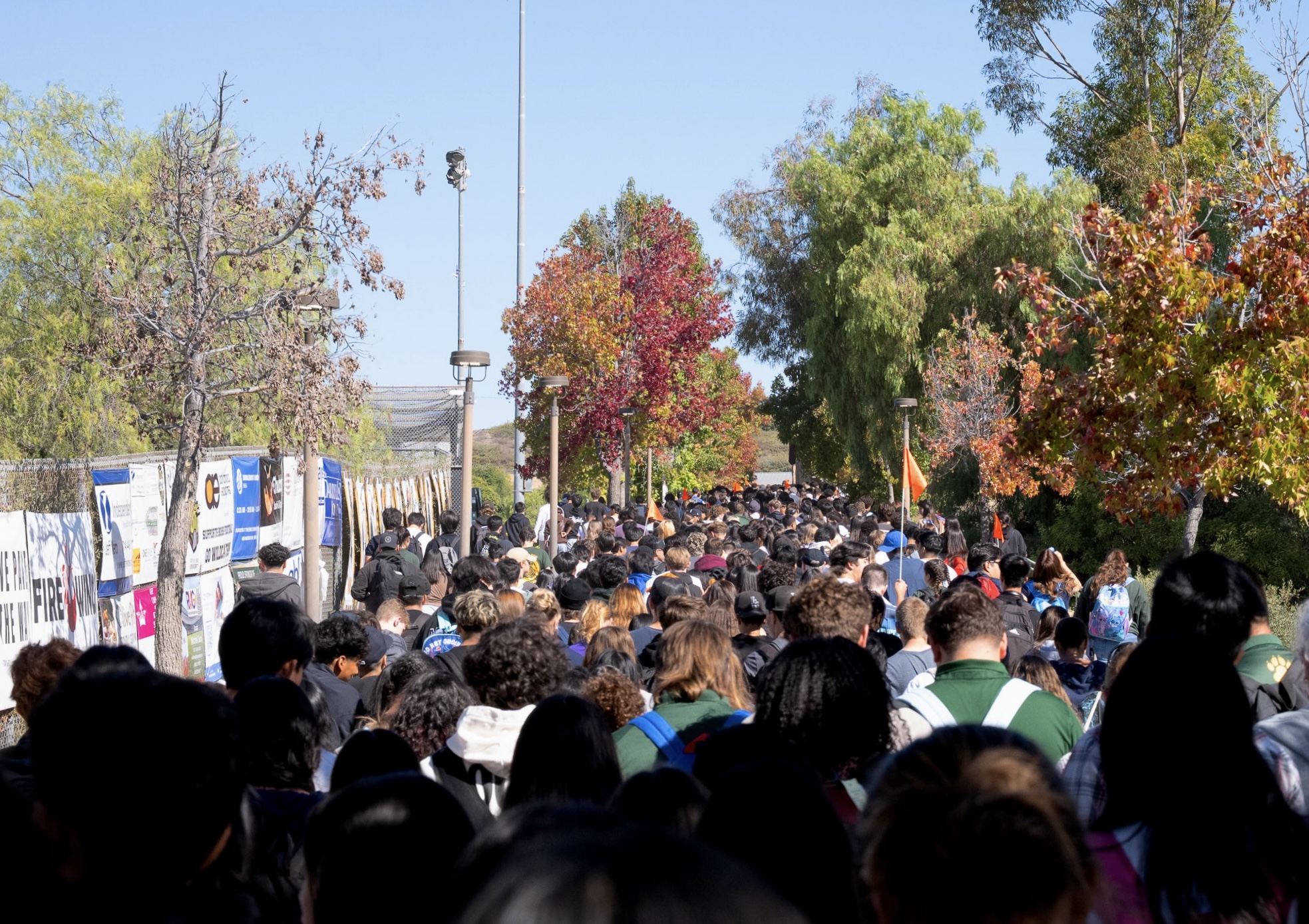 BOHS students return to class from Wildcat Stadium after the Great ShakeOut drill Oct. 16.