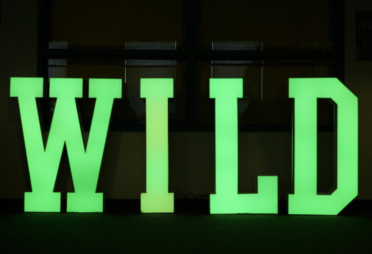 Raagav Arun's ('26) Eagle Scouts project -- an LED installation of BOHS's W.I.L.D. acronym -- on display in the library.