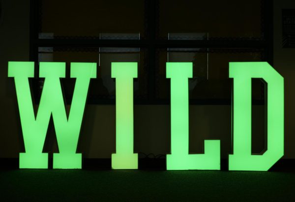 Raagav Arun's ('26) Eagle Scouts project -- an LED installation of BOHS's W.I.L.D. acronym -- on display in the library.