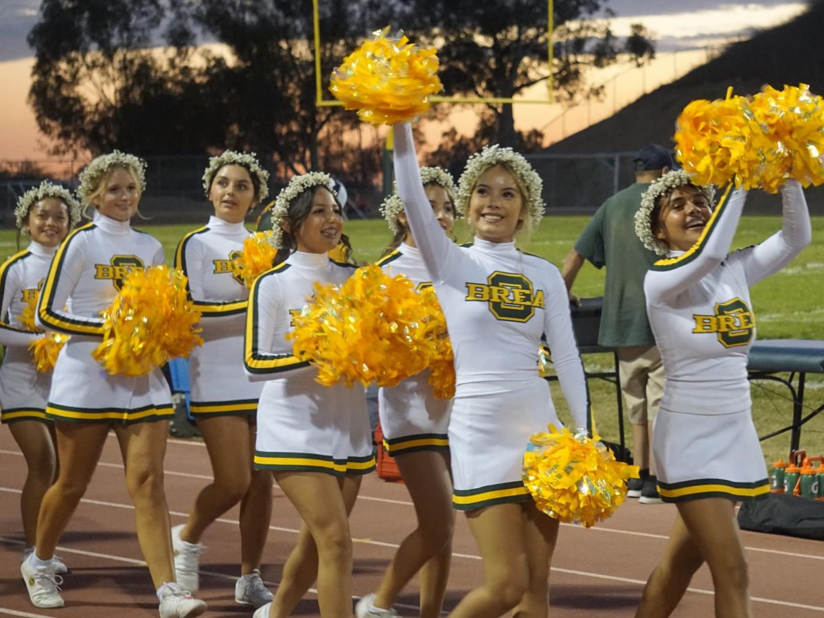 IN PICTURES: Homecoming 2025