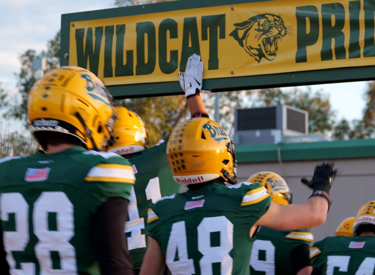 Wildcat varsity football players slap the Wildcat Pride sign for good luck as they enter Wildcat Stadium before the Homecoming game Oct. 10.