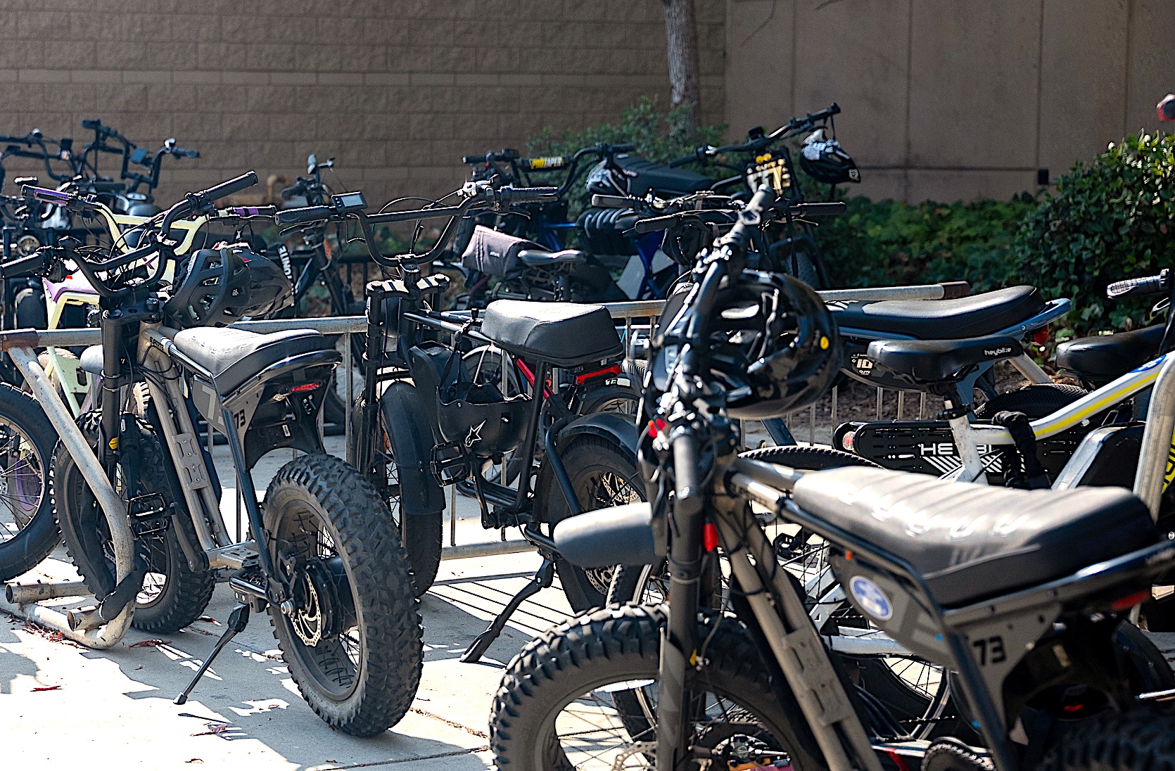 E-bikes parked on the BOHS campus. A Wildcat survey counted 40% of the e-bikes parked daily on campus lack permits. 