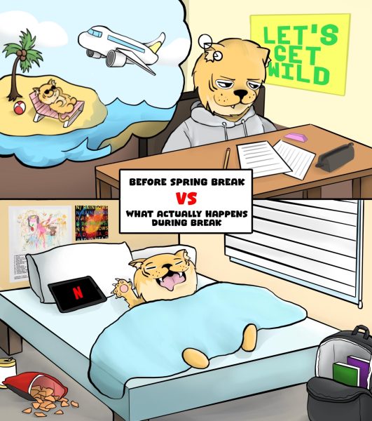 Expectation Versus Reality, Spring Break Edition